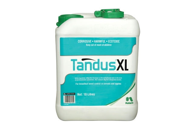 Tandus XL