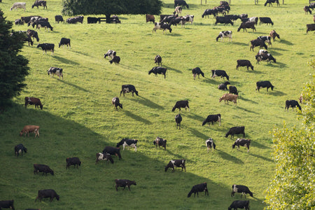 Pasture Spraying